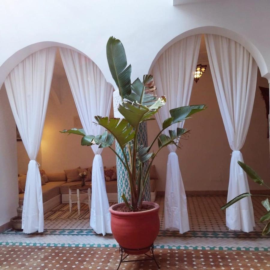 Riad El Arco Rooftop Pool & Spa 马拉喀什 外观 照片