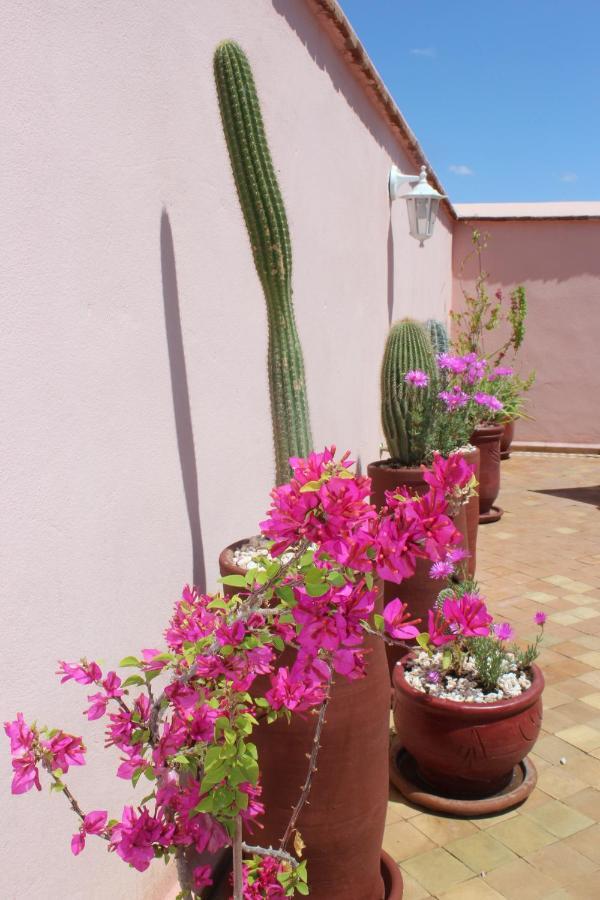 Riad El Arco Rooftop Pool & Spa 马拉喀什 外观 照片